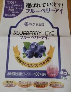 ブルーベリーアイ チラシ