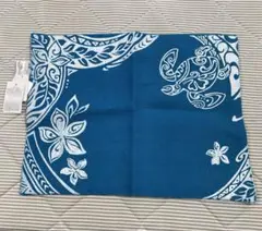 Item thumbnail for item 0c14cfad-8dcf-4a94-a6a2-3b4d44f12025