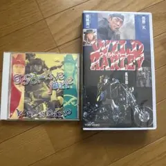 ワイルドハーレー　西野K 岩城滉一