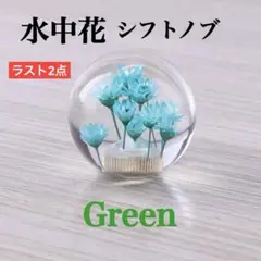 Item thumbnail for item 5c152164-2d7e-413d-baa8-0c098002667d