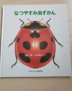 なつやすみ虫ずかん 稲田務 幼稚園 読み聞かせ