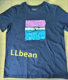 L.L.Bean Tシャツ KIDS XL(レディースM メンズS)