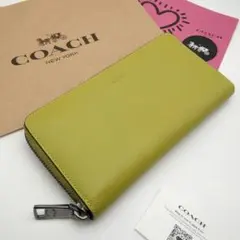 Item thumbnail for item 420b336d-cc3a-4d21-9d0f-1a791f92fa0f