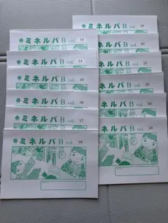 チャイルドアイズ ミネルバ家庭学習用 16〜24 2025年最新】ミネルバ 小学校受験の人気アイテム - メルカリ