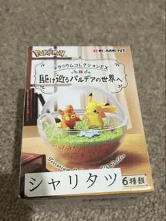 ポケモン テラリウムコレクションEX 駆け巡るパルデアの世界へ シャリタツ