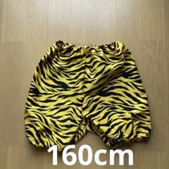 Item thumbnail for item ce87d868-a06c-4e94-9ab0-92edfb8d27eb