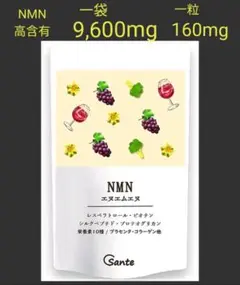 NMN 9600mg 高純度 99.9% 60粒 高級 疲労回復 最新 長寿