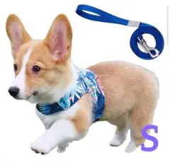 Item thumbnail for item 6181ff22-2461-4224-95c0-e1850820cb02