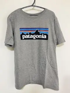patagonia グレー Tシャツ Lサイズ