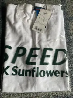 Item thumbnail for item a3cbf255-8fbb-442d-bd7f-99c5cb55d5be