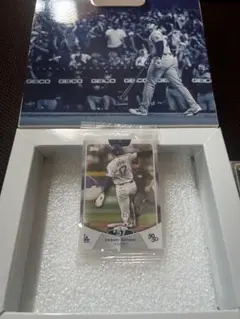 Shohei Ohtani 50/50 sp #57
