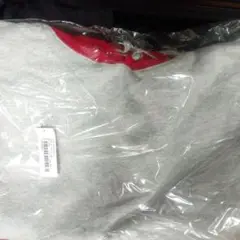 Supreme 21AW Contrast Hooded Sweatshirt