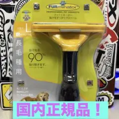 Item thumbnail for item 176fef38-89d9-402c-896d-a6d30b12d6d1