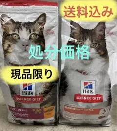 GRANDS グランツ キャットフード チキン&サーモン味 500g おまけ
