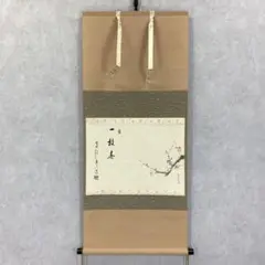 掛軸-1509　田中松泉　秋草　共箱　金箔散し 掛軸-1509 田中松泉 秋草 共箱 金箔散し