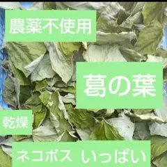 Item thumbnail for item 5a2b75e7-2196-4a4f-9514-194c8e3f8653