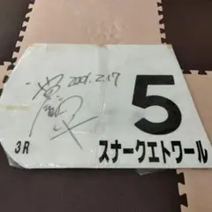 競馬　実使用ゼッケン　 スナークエトワール （直筆サイン入り　池田鉄平）