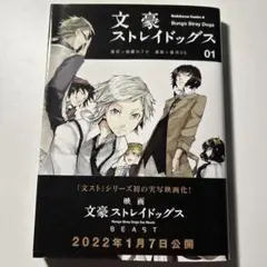 文豪ストレイドッグス 01