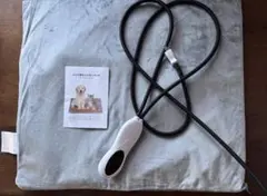 Item thumbnail for item 13755b5e-d604-4291-975e-d16c2d1b52a9