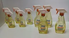 DULTON ダルトン　ガラススプレー　80ml ４本　30ml ５本　セット