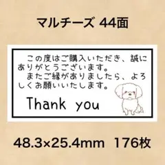 サンキューシール マルチーズ 44面