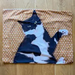 フェリシモ 添い寝待ち猫⭐︎ギズモさんまくらカバー