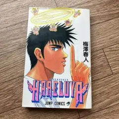 HARELUYA（ハレルヤ）梅澤春人　BOYの前章