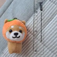 旅する豆柴新品