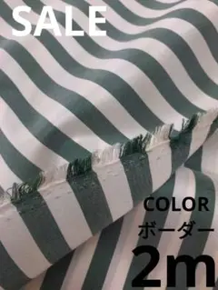 生地・COLORボーダー〈2m〉