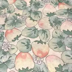 8/7限定SALE　苺　シーチング　巾160×30cm 布　生地