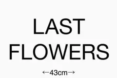 Item thumbnail for item 16b6914a-98b7-43f6-827e-9829f22c2c39