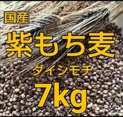 もち麦7kg 紫もち麦 ダイシモチ 食べやすく精麦済