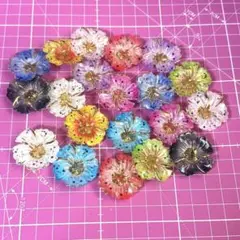 Item thumbnail for item 9d011911-0058-4ff1-b51d-f6a0ed16cd69