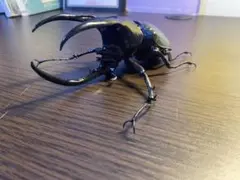 いきもの大図鑑 コーカサスオオカブト
