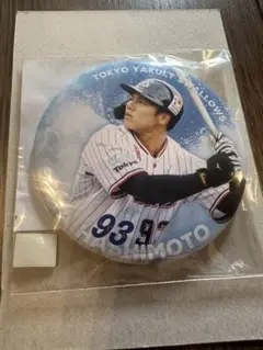 東京ヤクルトスワローズ 橋本星哉　選手