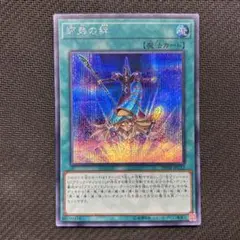 師弟の絆　シークレット
