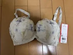 ワコール　後ろ姿きれいブラ　E65