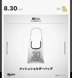千葉ロッテマリーンズ メッシュショルダーバッグ