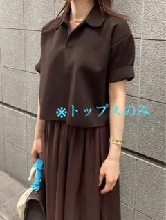 極美品☆ Mila Owen ウォッシャブル 短丈スキッパーポロニット