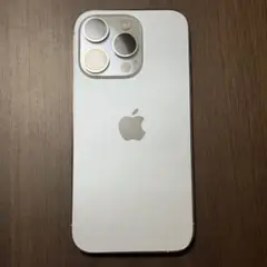 Item thumbnail for item 4cfb8bfd-a4a9-46c8-ad9d-5e3c921a932b