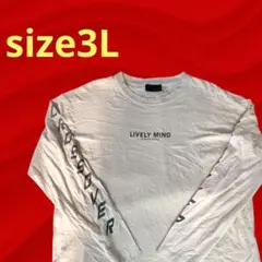✨DEFECTIVESTRUCT✨　長袖Tシャツ　ロンT　3L