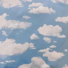 [no.2931]青空柄 薄ブルー生地 オックス 雲＊