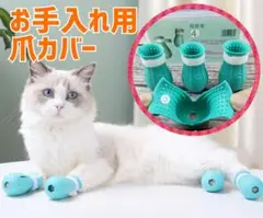 Item thumbnail for item 2fdd9634-de17-420d-8c57-2185a9ebc8f5