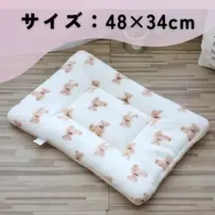 Item thumbnail for item 3b7363e4-3af6-4460-a537-5f46f5cf2e64