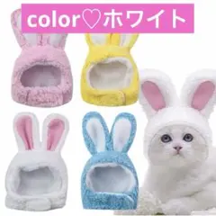 Item thumbnail for item b33485a2-67b8-4a23-af24-7730f529b2af