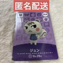 あつ森 amiiboカード ジュン 新品未使用 匿名配送