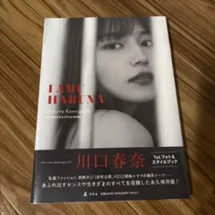 【新品未開封】川口春奈　スタイルブック　IAMU HARUNA 特装版
