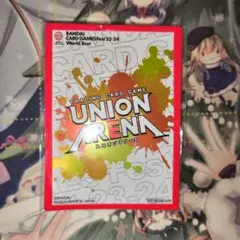 ユニオンアリーナ プロモーション APスリーブ