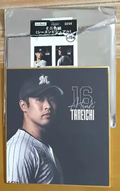 千葉ロッテマリーンズ種市篤暉ビジュアルミニ色紙