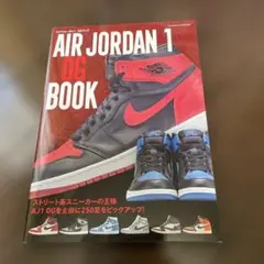 AIR JORDAN 1 OG BOOK